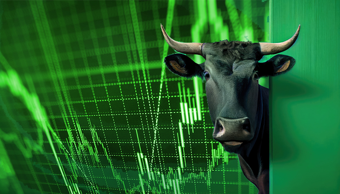 Investor Psychology When Bull Markets Take Hold